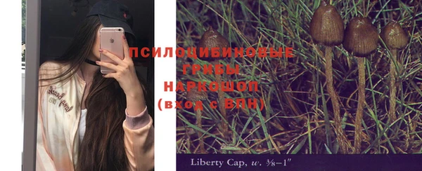 спайс Алексин