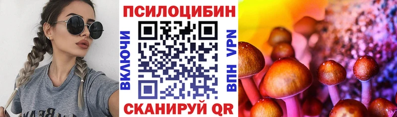 Псилоцибиновые грибы MAGIC MUSHROOMS  kraken маркетплейс  Тверь 
