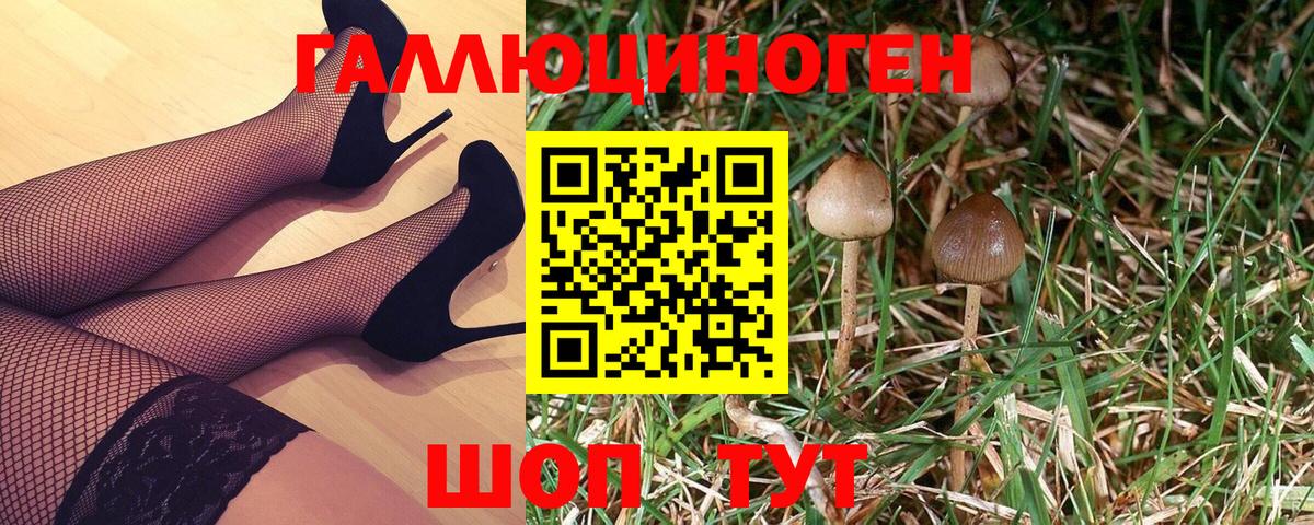 Галлюциногенные грибы прущие грибы  Псилоцибиновые грибы Magic Shrooms  Тверь  Вход с VPN 